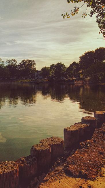 A view of a calm river reflecting the cloudy sky overhead, with lush green trees lining the far bank and some residential buildings faintly visible in the distance. In the foreground, a weathered stone or concrete retaining wall extends along the riverbank, with several rectangular blocks protruding slightly from the ground and showing signs of age and natural wear. The scene is outdoors during daylight, with soft, diffused light creating gentle shadows on the ground and water, and some tree branches with sparse yellow leaves partly framing the upper right corner. Although the image depicts a tranquil natural setting, it relates to the context of waste management by illustrating an environment that may require maintenance or clearance from local waste services such as Waste Collection Hampstead, who handle rubbish disposal and site clearance in various outdoor and community areas.